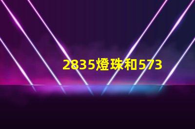 2835燈珠和5730燈珠的區(qū)別 2835燈珠和5730燈珠能通用嗎